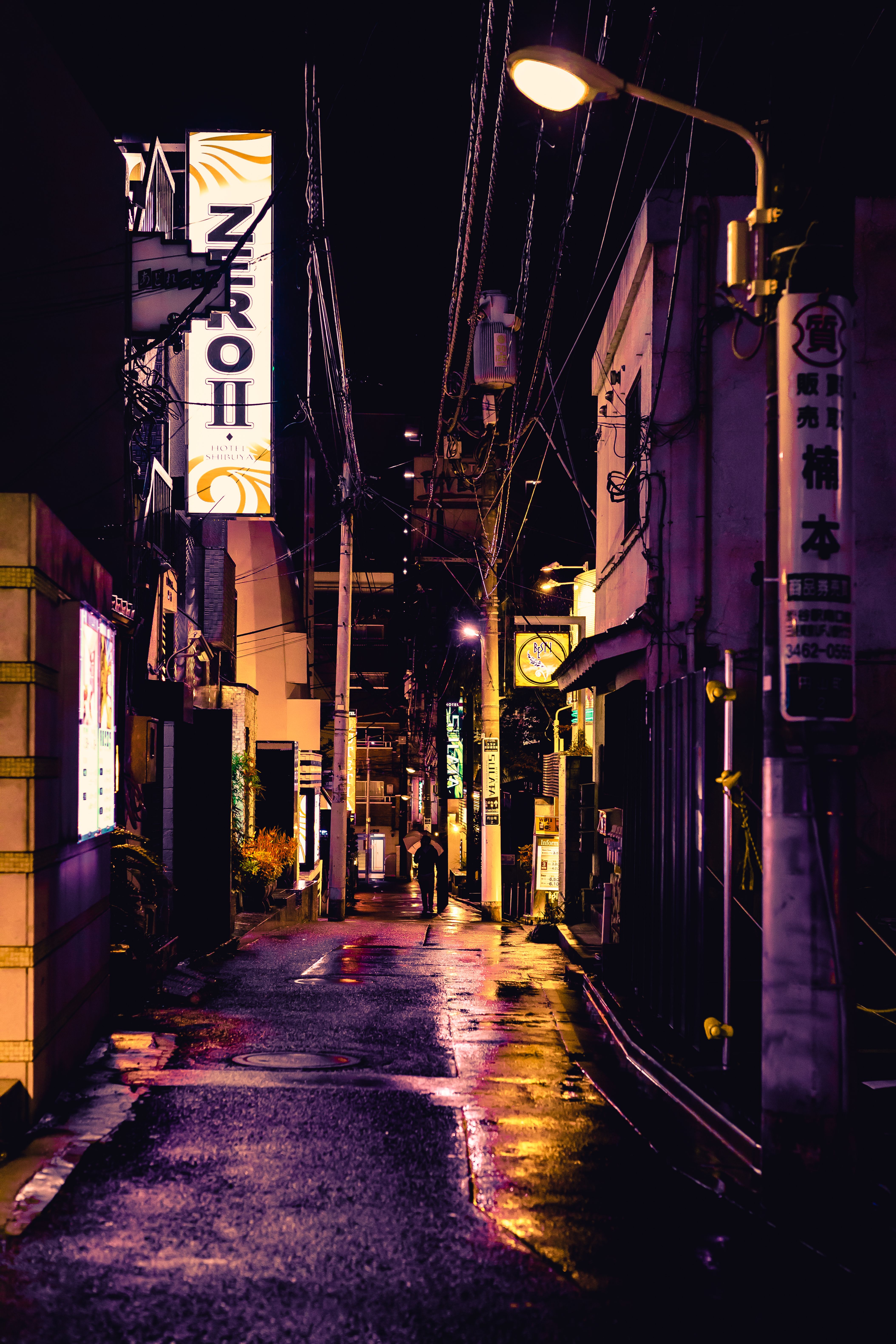 奥克兰沿海街区与游艇码头